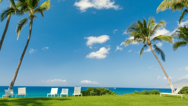 K1体育公司：五六年级室内健身操